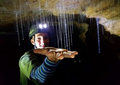 The Tour Insiders - Rotura - Gloworm Caves of Waitomo